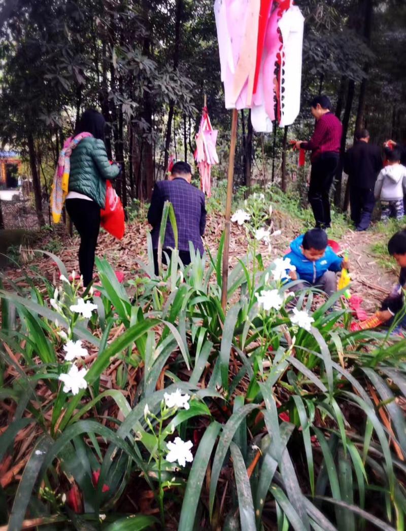 清明節(jié)閏二月能上墳嗎-“閏月清明莫上墳，上墳禍?zhǔn)抡疑祥T”，今年清明不讓