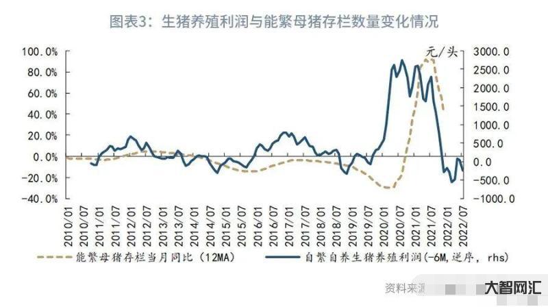 2023年3月8日生豬價格-2023年3月8日全國各地最新豬肉價格行情