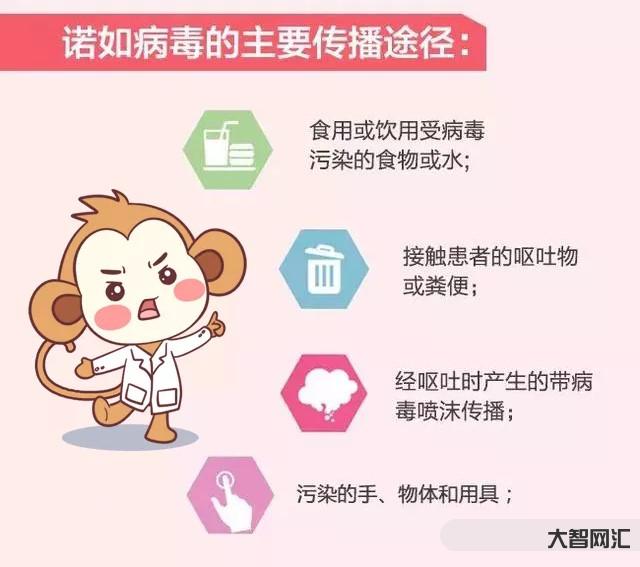 2、諾如病毒是什么？