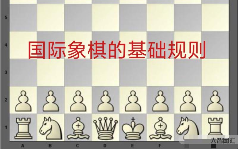 國際象棋入門教學(xué)視頻-國際象棋玩法