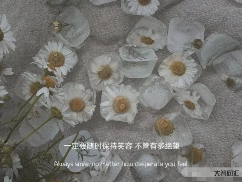 最熱真實文案句子-發(fā)在朋友圈會被秒贊的文案 最熱真實文案句子-發(fā)在朋友圈會被秒贊的文案
