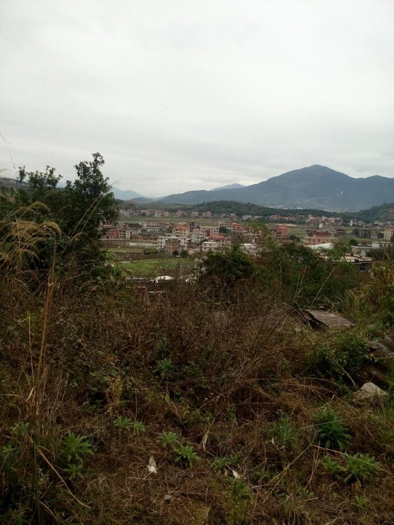 天氣預報泉州市南安市-預警!南安未來幾天的天氣將改變 天氣預報泉州市南安市-預警!南安未來幾天的天氣將改變