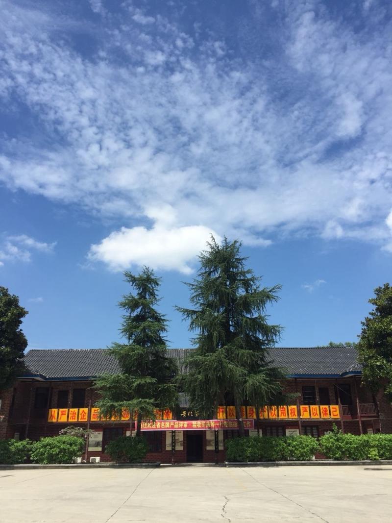 益陽4月7日天氣-桃江:四級人大代表帶頭種植雙季稻逾萬畝