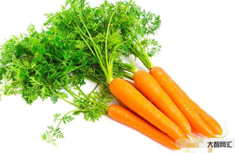 carrot怎么讀-小學英語教學大綱《食物類》56個單詞(含音標) carrot怎么讀-小學英語教學大綱《食物類》56個單詞(含音標)