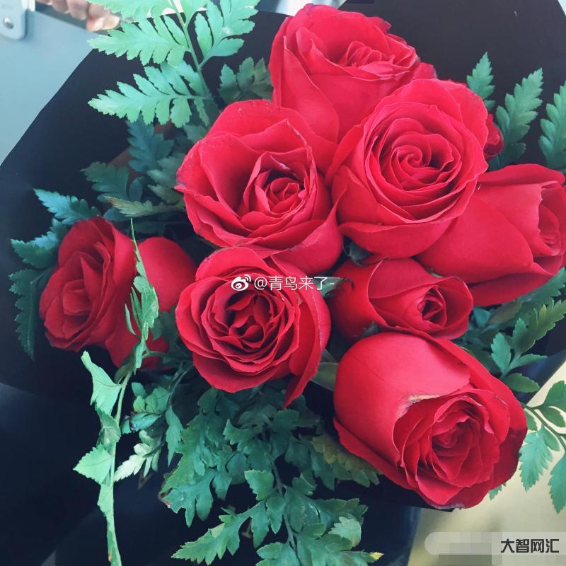玫瑰和誰最配-菊花、玫瑰花、茉莉花可混合沖泡,專治肝氣不疏,也可疏肝解 玫瑰和誰最配-菊花、玫瑰花、茉莉花可混合沖泡,專治肝氣不疏,也可疏肝解