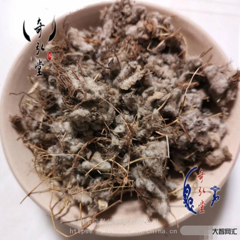 返魂草的功效與作用-小雪時節(jié)入嚴冬，修正藥業(yè)肺寧顆粒提醒市民防寒護肺