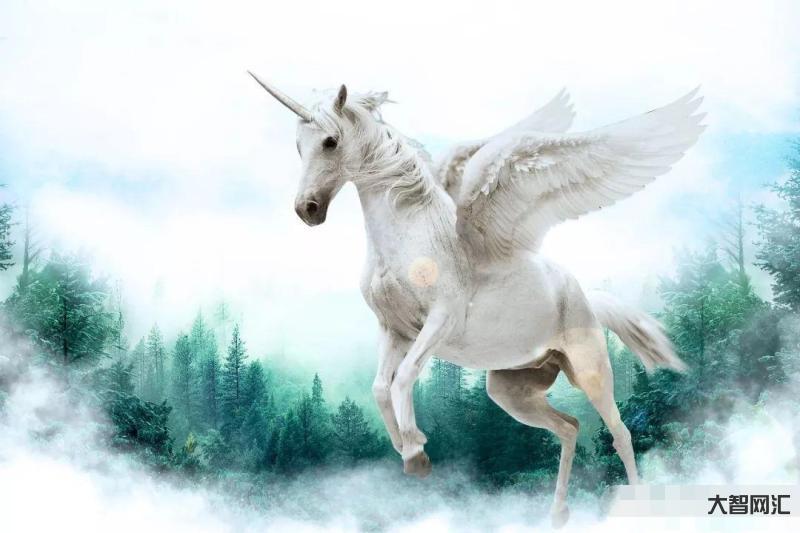 高中教師美出40億美元超級獨角獸，-活水為您揭秘獨角獸!