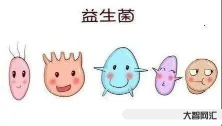 5個多月益生菌應該喝多少-關于益生菌，家長想知道的都在這里!你家寶寶吃