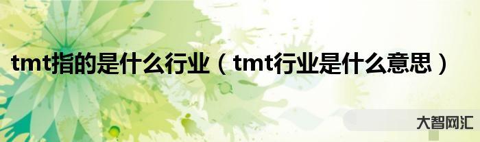 tmt是什么意思-TMT是什么?它是科技大軍，阿里、華為都是小弟