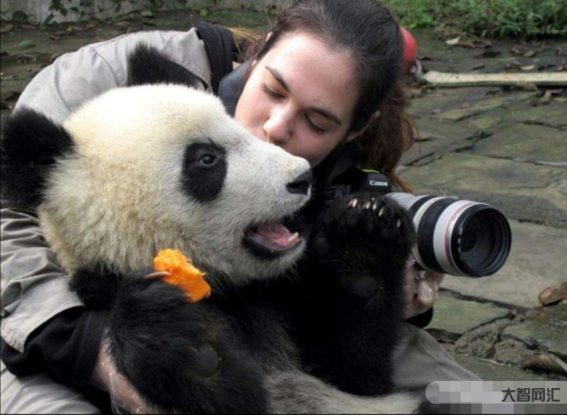 動物跟人一樣嘛-我們應該怎樣對待動物?