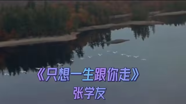 只想一生跟你走歌詞-只想一生跟你走,鋼琴譜,張學友,曲譜分享 只想一生跟你走歌詞-只想一生跟你走,鋼琴譜,張學友,曲譜分享