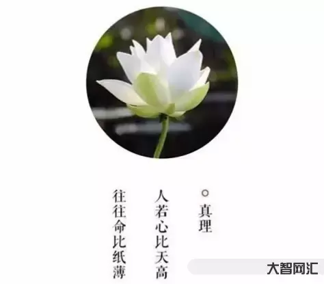 心比天高命比紙薄-道德經-連載312:“心比天高,命比紙薄”的真相,是 心比天高命比紙薄-道德經-連載312:“心比天高,命比紙薄”的真相,是