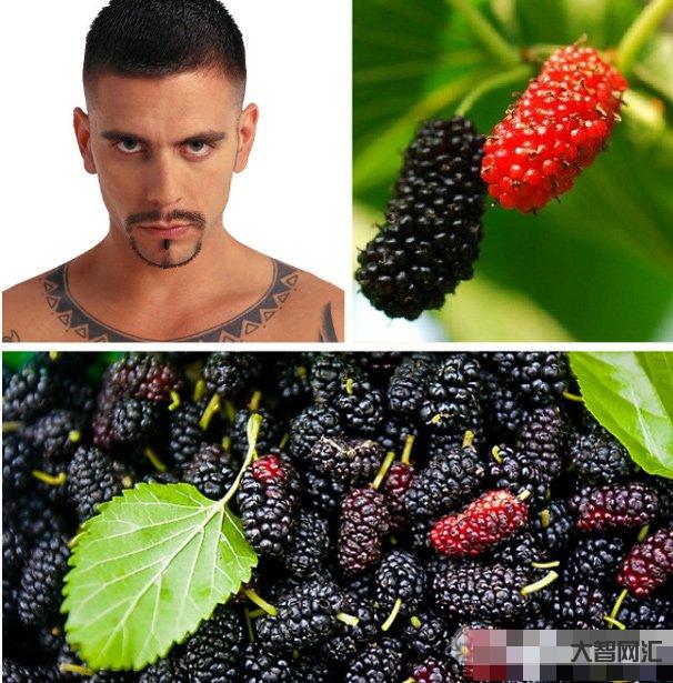 桑葚對男人性功能好嗎-腎不夠好的男人，睡前往溫水里扔5粒，讓腎有用不完