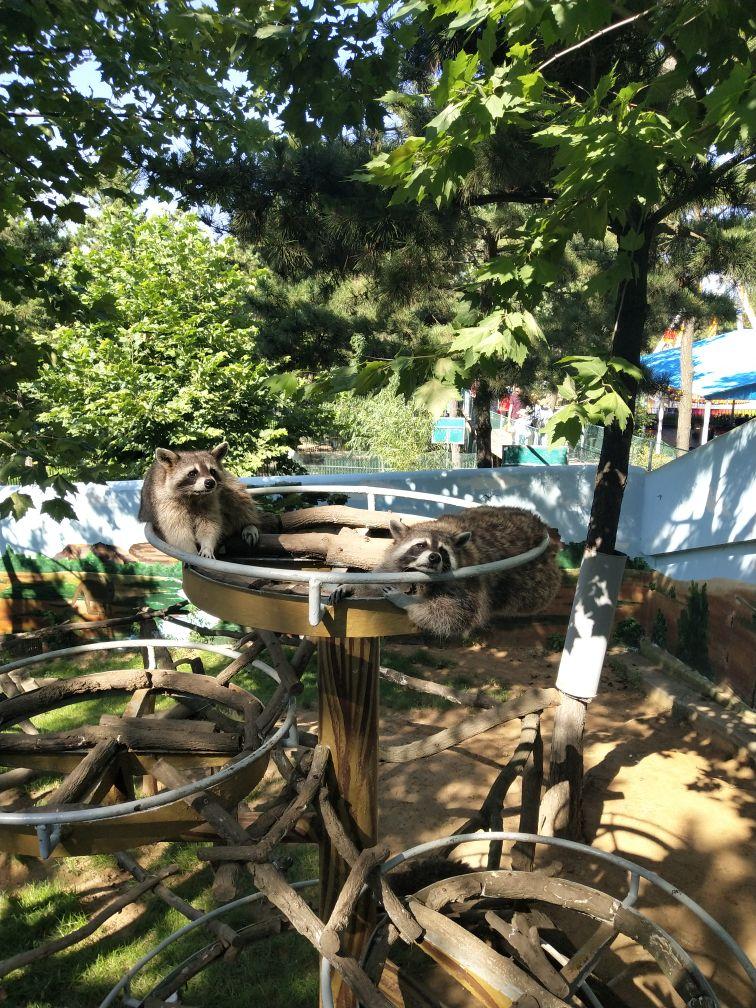 西霞口野生動(dòng)物園-威海西霞口動(dòng)物園一日游 西霞口野生動(dòng)物園-威海西霞口動(dòng)物園一日游