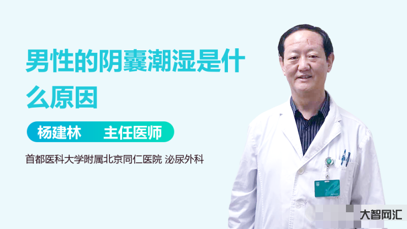 陰囊潮濕是什么原因造成的-陰囊總是濕濕是怎么回事?別著急，醫(yī)生教你3招