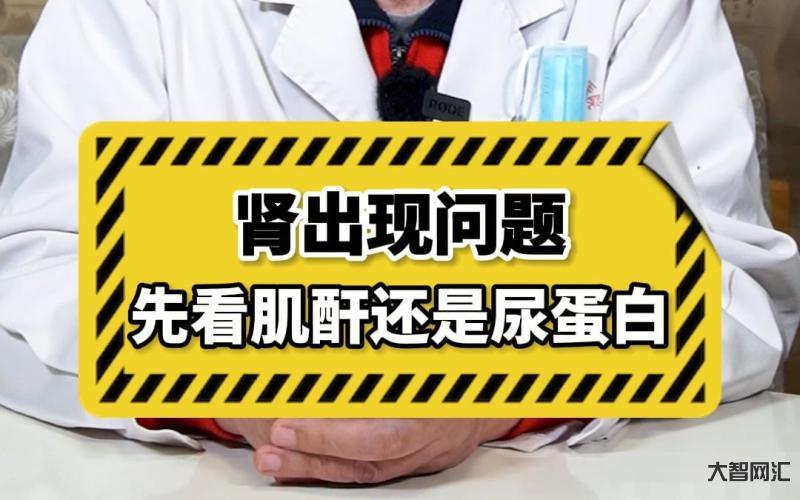 肌酐高是什么問題-醫院體檢發現肌酐高，千萬別忽視這5大常見因素