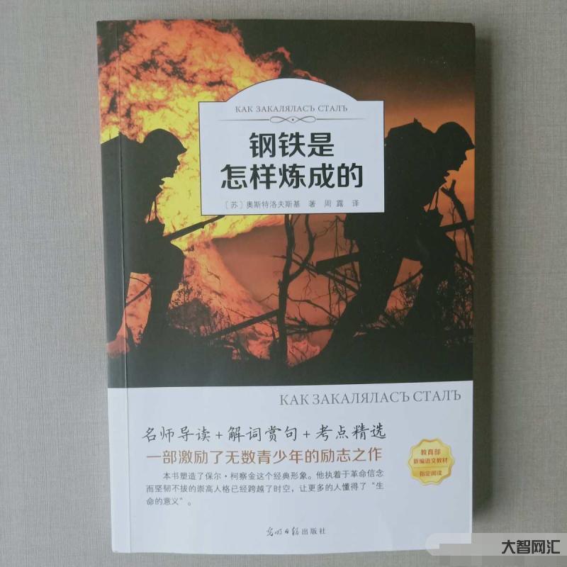 鋼鐵是怎樣煉成的-《鋼鐵是怎樣練成的》:凡是讓你痛苦的，都是來渡你的