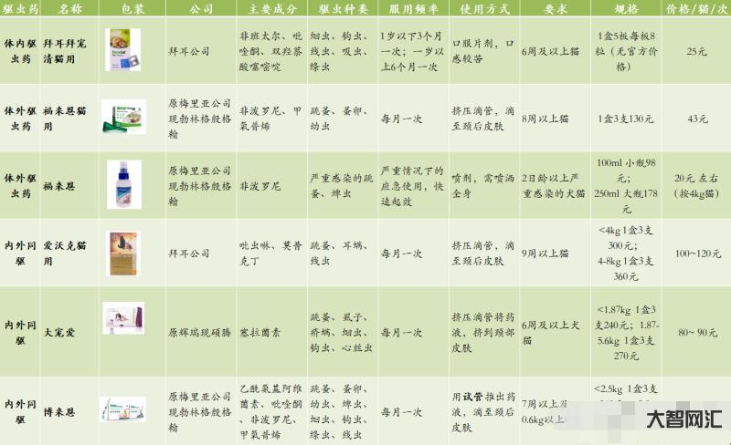 寵物店驅蟲多少錢-去花鳥市場，40元買下這只小橘貓，驅蟲時寵物店老板直