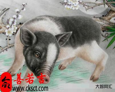 2024年屬什么生肖-2024年屬兔正緣是什么生肖 良緣花落誰家