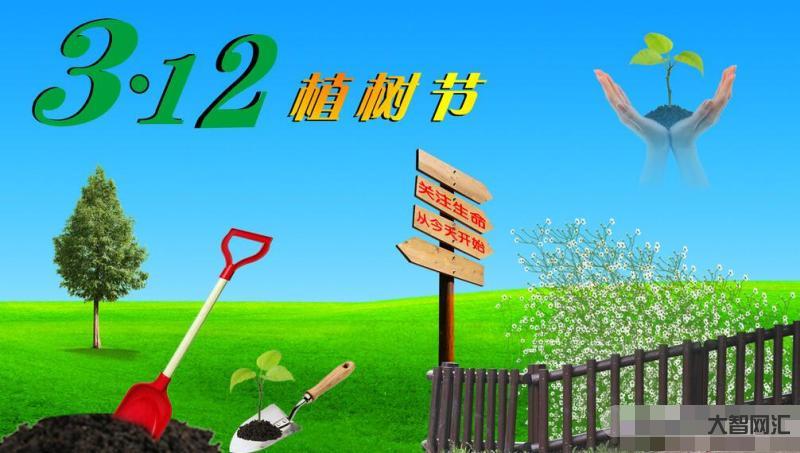 植樹節是幾月幾日-什么時候種樹成活率最高?其實并不是春季!而是樹木的秋