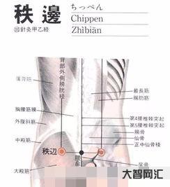 秩邊的準確位置圖作用功效