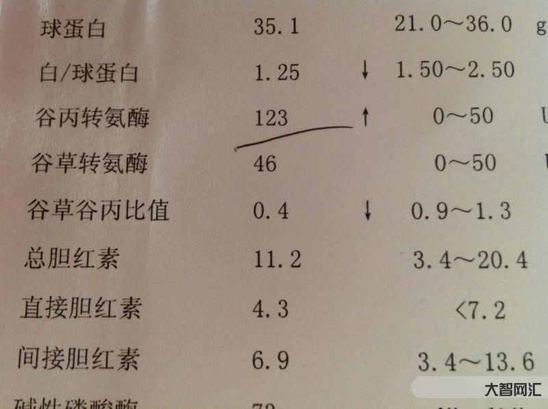轉(zhuǎn)氨酶高是怎么回事有什么危害-轉(zhuǎn)氨酶是什么，轉(zhuǎn)氨酶偏高應(yīng)該怎么辦