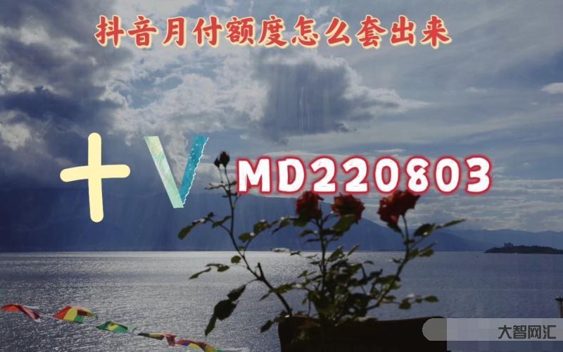 抖音月付什么意思-提高“給錢”效率，抖音掃支付寶收款碼可以直接付款了