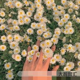 有思念寓意的名字（有思念寓意的名字男嬰兒）