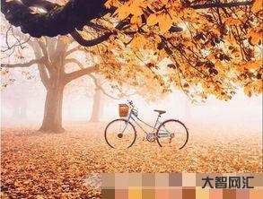 給大家科普下秋去冬來打一動物（秋去冬來打一動物生肖）