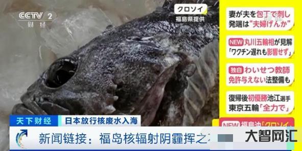 「志愿云」日本核污水排海第三天，中國的第一批受害者出現了-核污水排海
