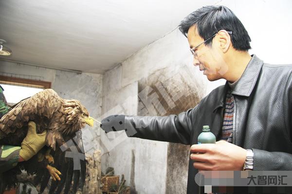 央視新聞火出圈！他們為何叫“海東青”？-央視新聞頻道