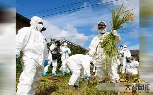 福島核事故真相揭秘-福島核事故影響分析