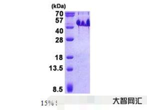 abundant（abundant和abandon）