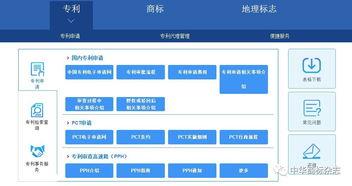 中國專利事務服務系統（中國專利事務服務系統賬號被鎖定咋辦）