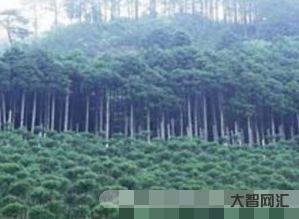 公頃和畝的換算