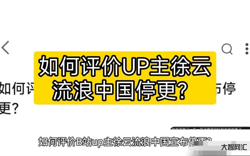 b站up主徐云流浪中國正在塌方中-徐云流浪中國危機