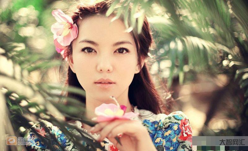 李湘的履歷-李湘的職業經歷