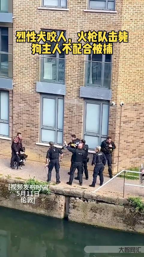 成都大狗咬傷女童事件小區業主發聲-成都大狗咬傷女童小區業主關注事件進展