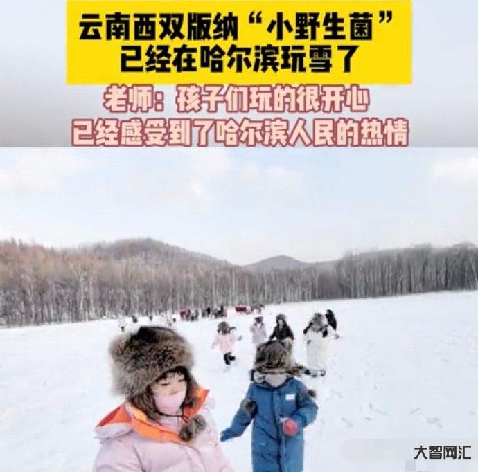 “砂糖橘”繼續勇闖哈爾濱-11個小砂糖橘勇闖哈爾濱火了,費用曝光。家長:費用不貴很放心。 “砂糖橘”繼續勇闖哈爾濱-11個小砂糖橘勇闖哈爾濱火了,費用曝光。家長:費用不貴很放心。