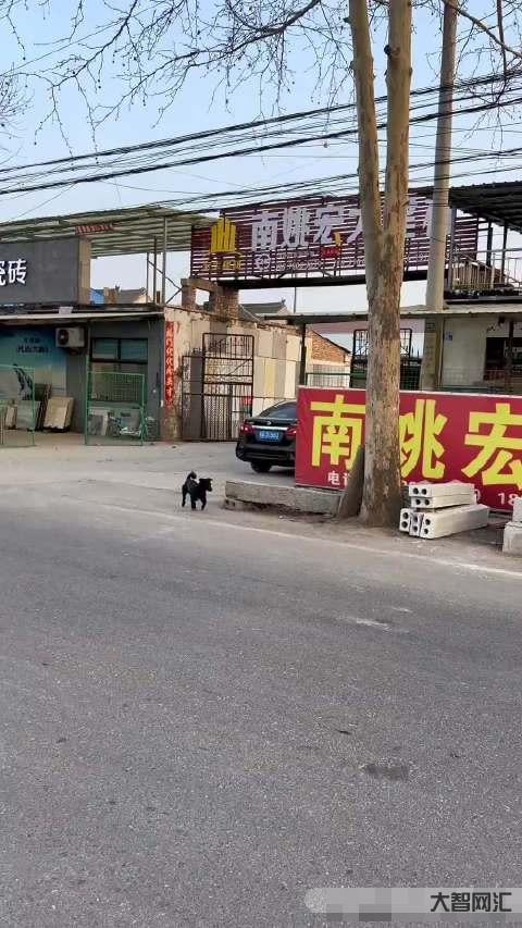 網(wǎng)購迪士尼套餐最終民警護(hù)送入園-網(wǎng)購迪士尼套餐最終民警護(hù)送入園，女子稱遭網(wǎng)店欺詐威脅